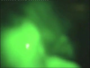 Isabelle Outdoor Blowjob Nightvision